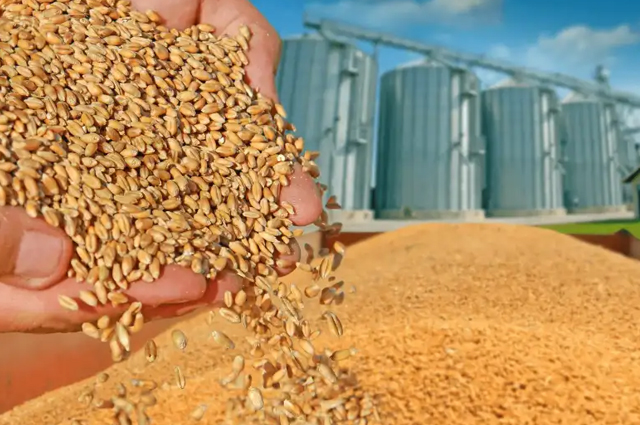 PERITO CLASIFICADOR DE GRANOS, CEREALES Y OLEAGINOSAS